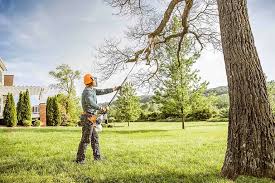 How Our Tree Care Process Works  in  Red Cloud, NE