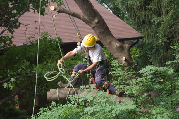 Mulching Services in Red Cloud, NE